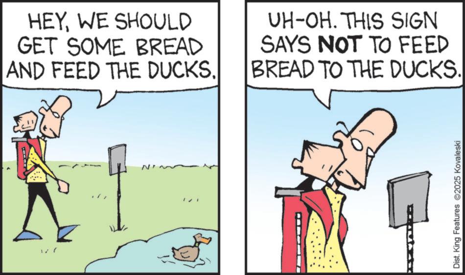 Animated cartoon OCR: HEYWE SHOULD GET SOME BREAD AND FEED THE DUCKS. UH-OH. THIS SIGN SAYS NOT TO FEED BREAD TO THE DUCKS. Dist. King Features 2025 Kovaleski HEYWE SHOULD GET SOME BREAD AND FEED THE DUCKS . UH - OH . THIS SIGN SAYS NOT TO FEED BREAD TO THE DUCKS . Dist . King Features 2025 Kovaleski