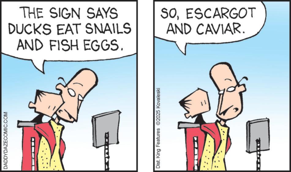 Animated cartoon OCR: DADDYDAZECOMIC.COM THE SIGN SAYS DUCKS EAT SNAILS AND FISH EGGS. SOESCARGOT AND CAVIAR. Dist. King Features 2025 Kovaleski DADDYDAZECOMIC.COM THE SIGN SAYS DUCKS EAT SNAILS AND FISH EGGS . SOESCARGOT AND CAVIAR . Dist . King Features 2025 Kovaleski