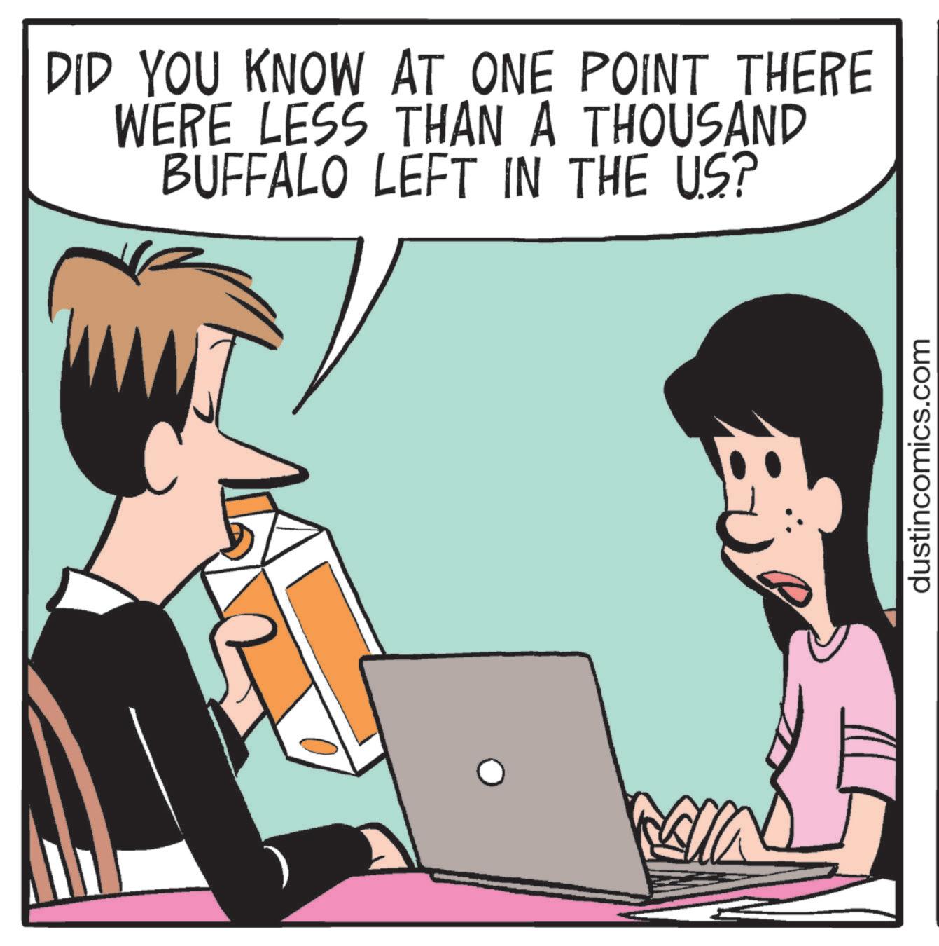 Personal computer OCR: DID YOU KNOW AT ONE POINT THERE WERE LESS THAN A THOUSAND BUFFALO LEFT IN THE US? dustincomics.com DID YOU KNOW AT ONE POINT THERE WERE LESS THAN A THOUSAND BUFFALO LEFT IN THE US ? dustincomics.com