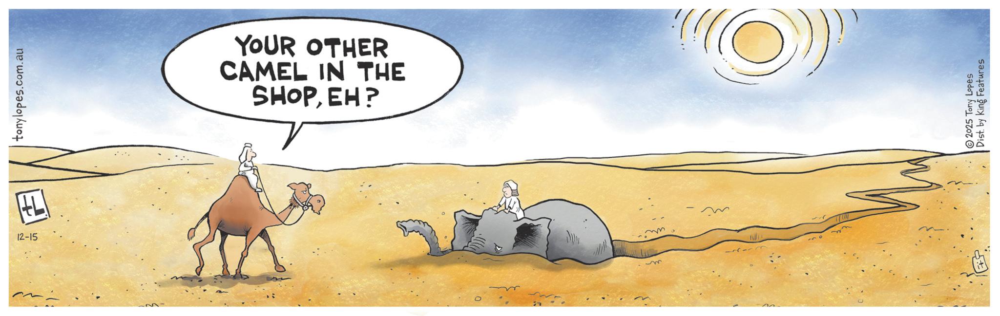 Animated cartoon OCR: 12-15 77 tonylopes.com.au ..... YOUR OTHER CAMEL IN THE SHOPEH? M ?? 2025 Tony Lopes Dist. by King Features 12-15 77 tonylopes.com.au ..... YOUR OTHER CAMEL IN THE SHOPEH ? M ?? 2025 Tony Lopes Dist . by King Features