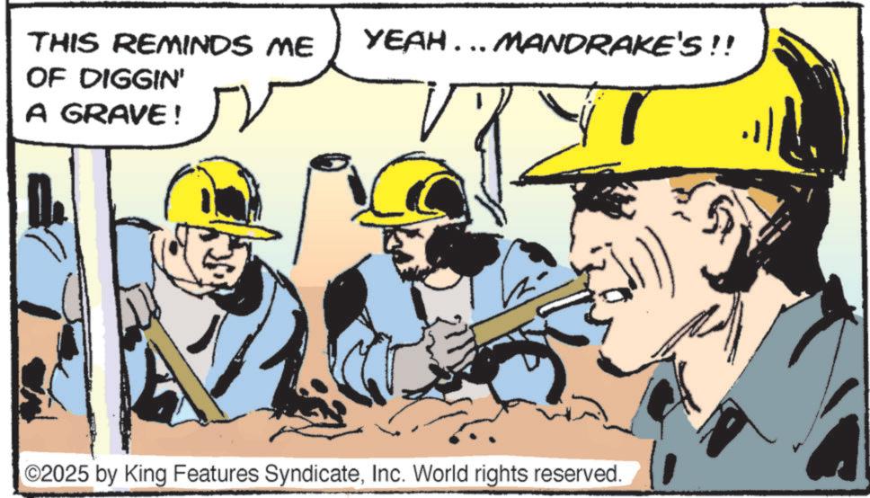 Animation OCR: THIS REMINDS ME OF DIGGIN' A GRAVE! 1. YEAH … …. MANDRAKE'S !! V ©2025 by King Features SyndicateInc. World rights reserved. THIS REMINDS ME OF DIGGIN ' A GRAVE ! 1 . YEAH … … . MANDRAKE'S !! V © 2025 by King Features SyndicateInc. World rights reserved .