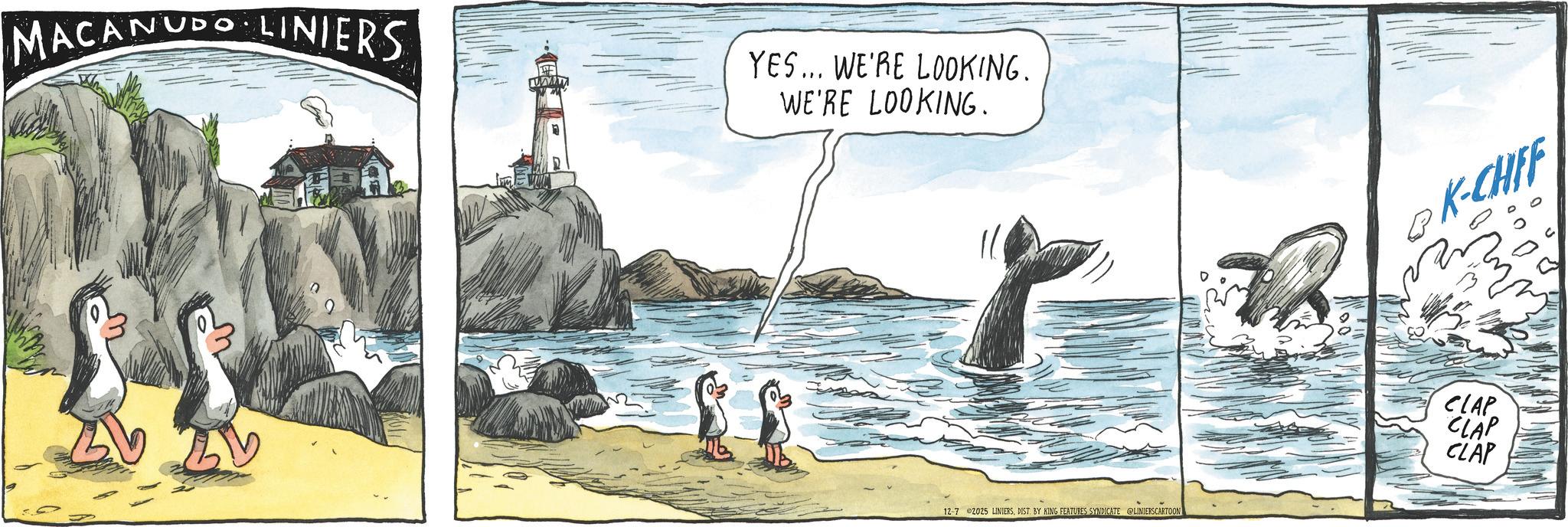 OCR: MACANUDO LINIERS. www YES... WE'RE LOOKING. WE'RE LOOKING. 12-7 2025 LINIERSDIST. BY KING FEATURES SYNDICATE @LINIERSCARTOON K-CHFF CLAP CLAP CLAP MACANUDO LINIERS . www YES ... WE'RE LOOKING . WE'RE LOOKING . 12-7 2025 LINIERSDIST . BY KING FEATURES SYNDICATE @LINIERSCARTOON K - CHFF CLAP CLAP CLAP