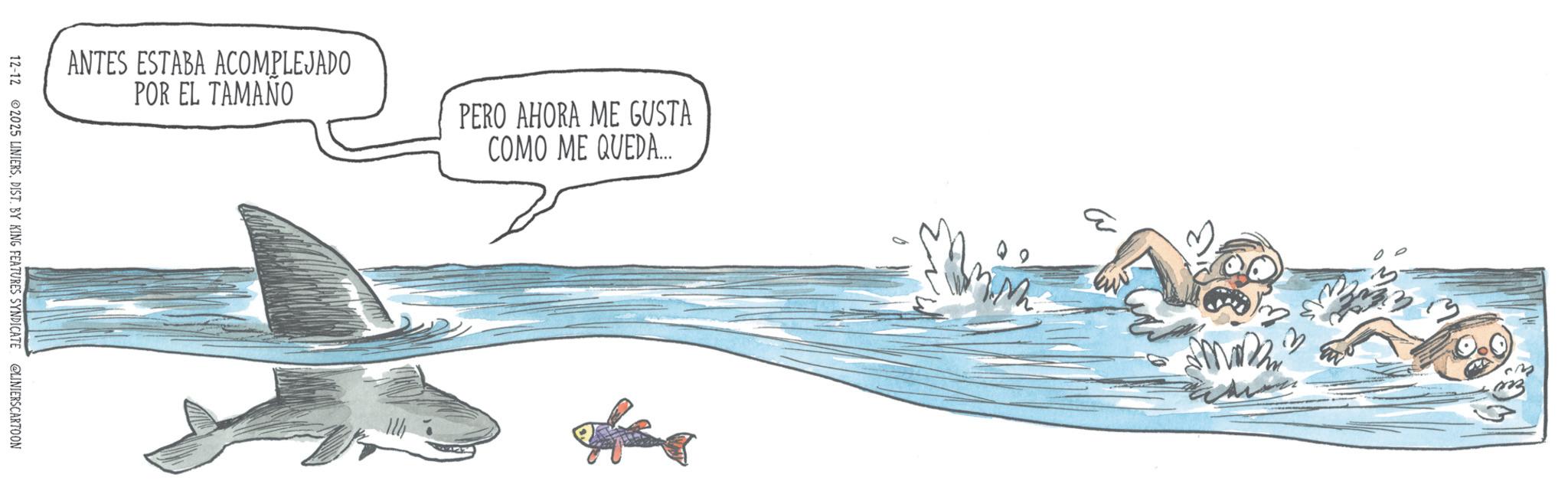 Graphics OCR: ANTES ESTABA ACOMPLEJADO POR EL TAMAÑO PERO AHORA ME GUSTA COMO ME QUEDA... 12-12 2025 LINIERSDIST. BY KING FEATURES SYNDICATE @LINIERS CARTOON ANTES ESTABA ACOMPLEJADO POR EL TAMAÑO PERO AHORA ME GUSTA COMO ME QUEDA ... 12-12 2025 LINIERSDIST . BY KING FEATURES SYNDICATE @LINIERS CARTOON