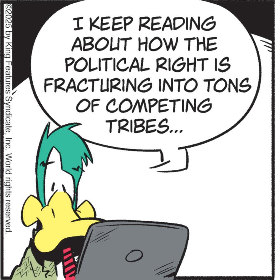 Graphics OCR: I KEEP READING ABOUT HOW THE POLITICAL RIGHT IS FRACTURING INTO TONS OF COMPETING TRIBES... ©2025 by King Features SyndicateInc. World rights reserved. I KEEP READING ABOUT HOW THE POLITICAL RIGHT IS FRACTURING INTO TONS OF COMPETING TRIBES ... © 2025 by King Features SyndicateInc. World rights reserved .
