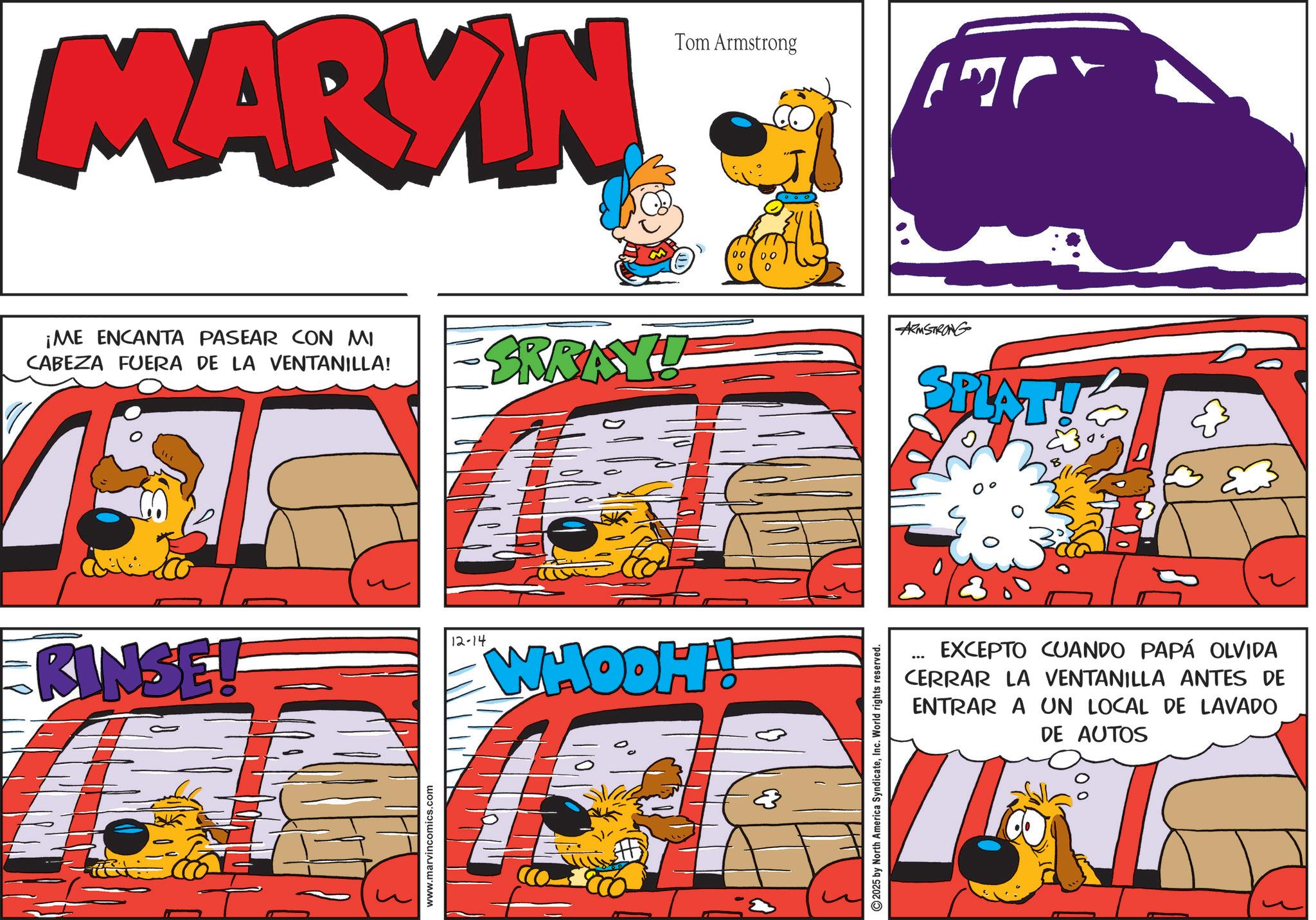 Pleased OCR: MARVIN Tom Armstrong ¡ME ENCANTA PASEAR CON MI CABEZA FUERA DE LA VENTANILLA! SRRAY! RINSE! www.marvincomics.com 12-14 WHOOH! 00 00 2025 by North America SyndicateInc. World rights reserved. ARMSTRONG SPLAT! ... EXCEPTO CUANDO PAPÁ OLVIDA CERRAR LA VENTANILLA ANTES DE ENTRAR A UN LOCAL DE LAVADO DE AUTOS MARVIN Tom Armstrong ¡ ME ENCANTA PASEAR CON MI CABEZA FUERA DE LA VENTANILLA ! SRRAY ! RINSE ! www.marvincomics.com 12-14 WHOOH ! 00 00 2025 by North America SyndicateInc. World rights reserved . ARMSTRONG SPLAT ! ... EXCEPTO CUANDO PAPÁ OLVIDA CERRAR LA VENTANILLA ANTES DE ENTRAR A UN LOCAL DE LAVADO DE AUTOS