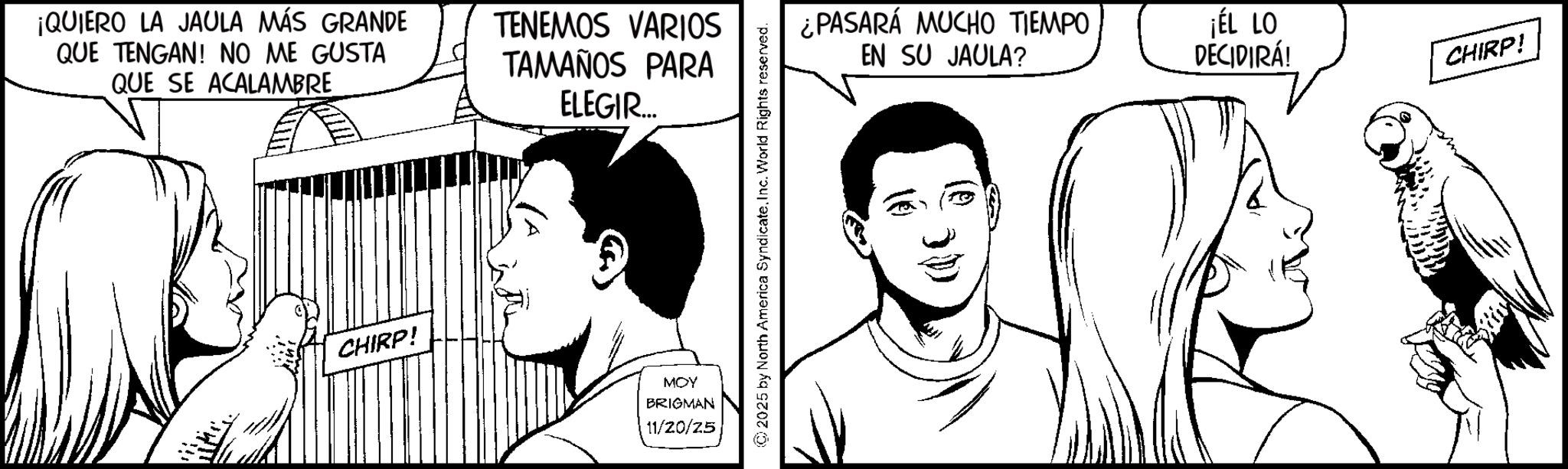 Line art OCR: ¡QUIERO LA JAULA MÁS GRANDE QUE TENGAN! NO ME GUSTA QUE SE ACALAMBRE TENEMOS VARIOS TAMAÑOS PARA ELEGIR.... CHIRP! MOY BRIGMAN 11/20/25 2025 by North America SyndicateInc. World Rights reserved. ¿PASARÁ MUCHO TIEMPO EN SU JAULA? ¡ÉL LO DECIDIRÁ! CHIRP! ¡ QUIERO LA JAULA MÁS GRANDE QUE TENGAN ! NO ME GUSTA QUE SE ACALAMBRE TENEMOS VARIOS TAMAÑOS PARA ELEGIR .... CHIRP ! MOY BRIGMAN 11/20/25 2025 by North America SyndicateInc. World Rights reserved . ¿ PASARÁ MUCHO TIEMPO EN SU JAULA ? ¡ ÉL LO DECIDIRÁ ! CHIRP !