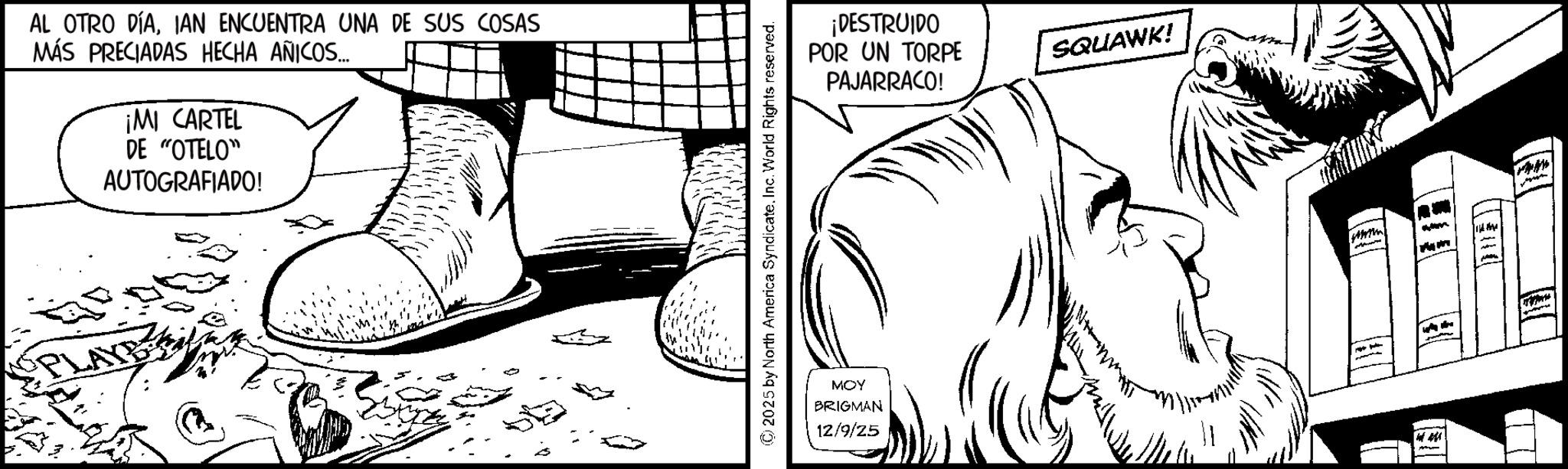 Fictional character OCR: AL OTRO DÍAIAN ENCUENTRA UNA DE SUS COSAS MÁS PRECIADAS HECHA ANICOS.... ¡MI CARTEL DE "OTELO" AUTOGRAFIADO! PLAY © 2025 by North America SyndicateInc. World Rights reserved. MOY BRIGMAN 12/9/25 ¡DESTRUIDO POR UN TORPE PAJARRACO! SQUAWK! ** AL OTRO DÍAIAN ENCUENTRA UNA DE SUS COSAS MÁS PRECIADAS HECHA ANICOS .... ¡ MI CARTEL DE " OTELO " AUTOGRAFIADO ! PLAY © 2025 by North America SyndicateInc. World Rights reserved . MOY BRIGMAN 12/9/25 ¡ DESTRUIDO POR UN TORPE PAJARRACO ! SQUAWK ! **