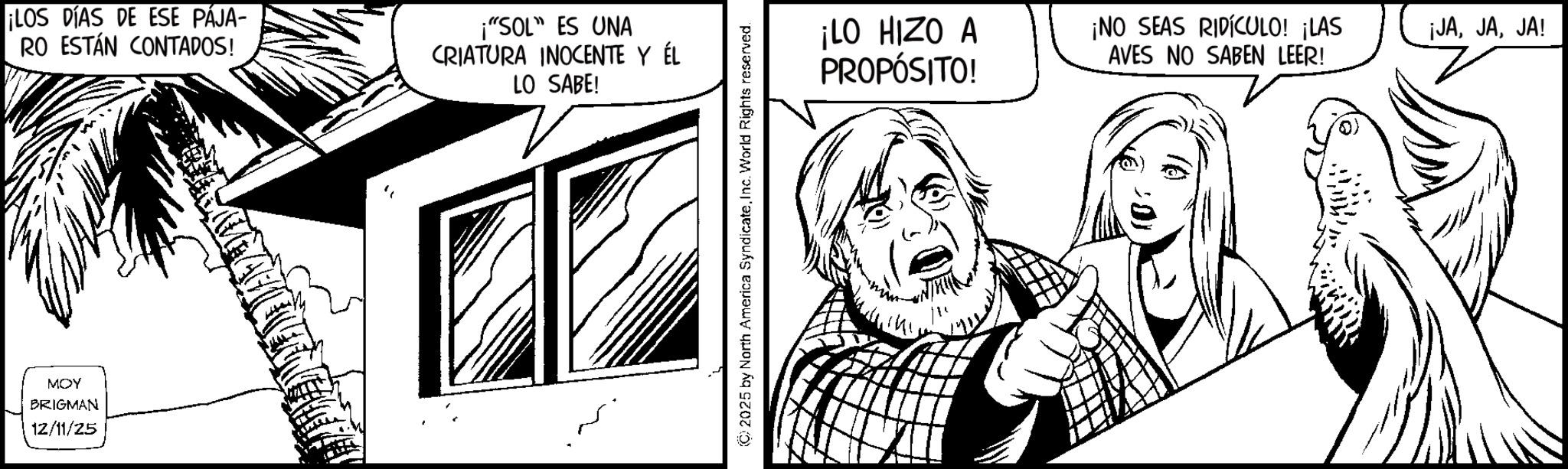 Animation OCR: ¡LOS DÍAS DE ESE PAJA- RO ESTÁN CONTADOS! "SOL" ES UNA CRIATURA INOCENTE Y ÉL LO SABE! MOY BRIGMAN 12/11/25 ¡LO HIZO A PROPÓSITO! ¡NO SEAS RIDICULO! ¡LAS AVES NO SABEN LEER! ¡JAJA! ¡ LOS DÍAS DE ESE PAJA- RO ESTÁN CONTADOS ! " SOL " ES UNA CRIATURA INOCENTE Y ÉL LO SABE ! MOY BRIGMAN 12/11/25 ¡ LO HIZO A PROPÓSITO ! ¡ NO SEAS RIDICULO ! ¡ LAS AVES NO SABEN LEER ! ¡ JAJA !
