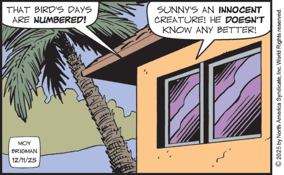 Animated cartoon OCR: MOY BRIGMAN 12/11/25 THAT BIRD'S DAYS ARE NUMBERED! SUNNY'S AN INNOCENT CREATURE! HE DOESN'T KNOW ANY BETTER! ©2025 by North America SyndicateInc. World Rights reserved. MOY BRIGMAN 12/11/25 THAT BIRD'S DAYS ARE NUMBERED ! SUNNY'S AN INNOCENT CREATURE ! HE DOESN'T KNOW ANY BETTER ! © 2025 by North America SyndicateInc. World Rights reserved .