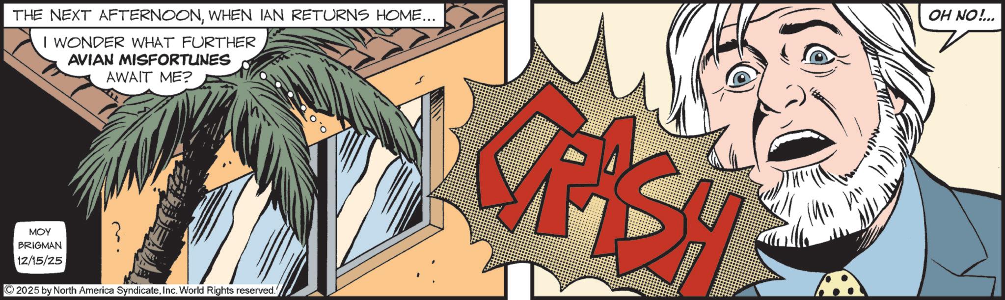 Graphics OCR: THE NEXT AFTERNOONWHEN IAN RETURNS HOME... I WONDER WHAT FURTHER AVIAN MISFORTUNES AWAIT ME? OH NO!... ??? BRIGMAN 12/15/25 © 2025 by North America SyndicateInc. World Rights reserved./ THE NEXT AFTERNOONWHEN IAN RETURNS HOME ... I WONDER WHAT FURTHER AVIAN MISFORTUNES AWAIT ME ? OH NO ! ... ??? BRIGMAN 12/15/25 © 2025 by North America SyndicateInc. World Rights reserved./