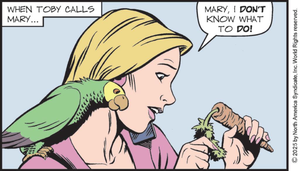 Animated cartoon OCR: WHEN TOBY CALLS MARY... MARYI DON'T KNOW WHAT TO DO! 2025 by North America SyndicateInc. World Rights reserved. WHEN TOBY CALLS MARY ... MARYI DON'T KNOW WHAT TO DO ! 2025 by North America SyndicateInc. World Rights reserved .