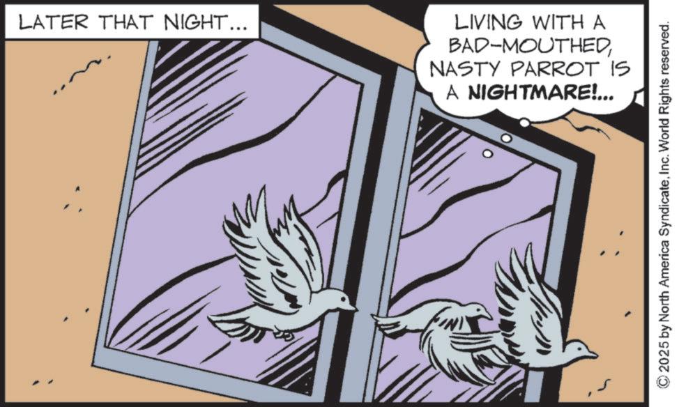 Graphic design OCR: LATER THAT NIGHT... LIVING WITH A BAD-MOUTHEDNASTY PARROT IS A NIGHTMARE!... ©2025 by North America SyndicateInc. World Rights reserved. LATER THAT NIGHT ... LIVING WITH A BAD - MOUTHEDNASTY PARROT IS A NIGHTMARE ! ... © 2025 by North America SyndicateInc. World Rights reserved .