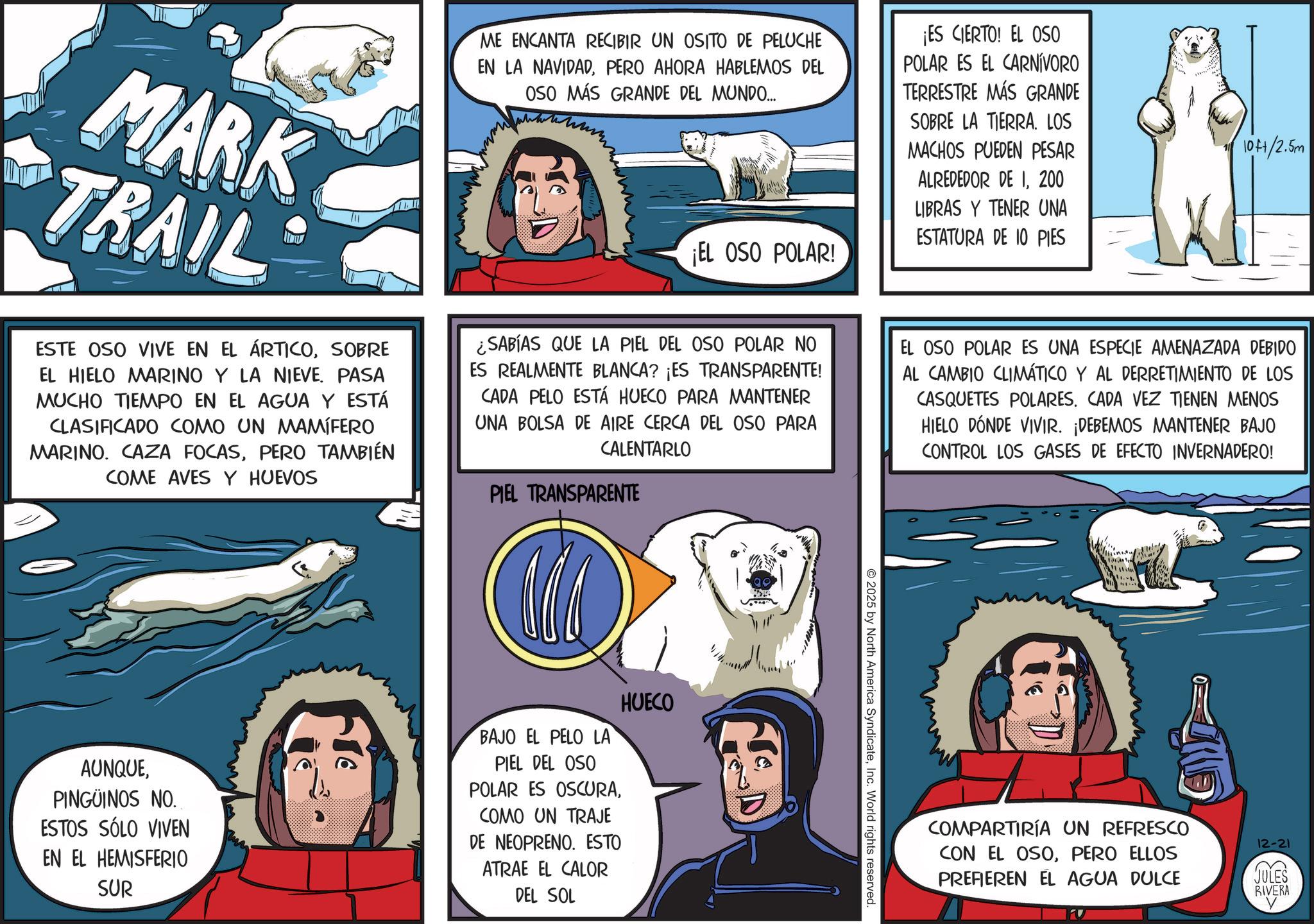 Fictional character OCR: MARK TRAIL ESTE OSO VIVE EN EL ÁRTICOSOBRE EL HIELO MARINO Y LA NIEVE. PASA MUCHO TIEMPO EN EL AGUA Y ESTÁ CLASIFICADO COMO UN MAMÍFERO MARINO. CAZA FOCASPERO TAMBIÉN COME AVES Y HUEVOS ME ENCANTA RECIBIR UN OSITO DE PELUCHE EN LA NAVIDADPERO AHORA HABLEMOS DEL OSO MÁS GRANDE DEL MUNDO.... ¡EL OSO POLAR! ¿SABÍAS QUE LA PIEL DEL OSO POLAR NO ES REALMENTE BLANCA? ¡ES TRANSPARENTE! CADA PELO ESTÁ HUECO PARA MANTENER UNA BOLSA DE AIRE CERCA DEL OSO PARA CALENTARLO PIEL TRANSPARENTE ¡ES CIERTO! EL OSO POLAR ES EL CARNÍVORO TERRESTRE MÁS GRANDE SOBRE LA TIERRA. LOS MACHOS PUEDEN PESAR ALREDEDOR DE 1200 LIBRAS Y TENER UNA ESTATURA DE 10 PIES 10/2.5m EL OSO POLAR ES UNA ESPECIE AMENAZADA DEBIDO AL CAMBIO CLIMÁTICO Y AL DERRETIMIENTO DE LOS CASQUETES POLARES. CADA VEZ TIENEN MENOS HIELO DÓNDE VIVIR. ¡DEBEMOS MANTENER BAJO CONTROL LOS GASES DE EFECTO INVERNADERO! HUECO AUNQUEPINGÜINOS NO. ESTOS SÓLO VIVEN EN EL HEMISFERIO SUR BAJO EL PELO LA PIEL DEL OSO POLAR ES OSCURACOMO UN TRAJE DE NEOPRENO. ESTO ATRAE EL CALOR DEL SOL © 2025 by North America SyndicateInc. World rights reserved. COMPARTIRÍA UN REFRESCO CON EL OSOPERO ELLOS PREFIEREN EL AGUA DULCE 12-21 JULES RIVERA V MARK TRAIL ESTE OSO VIVE EN EL ÁRTICOSOBRE EL HIELO MARINO Y LA NIEVE . PASA MUCHO TIEMPO EN EL AGUA Y ESTÁ CLASIFICADO COMO UN MAMÍFERO MARINO . CAZA FOCASPERO TAMBIÉN COME AVES Y HUEVOS ME ENCANTA RECIBIR UN OSITO DE PELUCHE EN LA NAVIDADPERO AHORA HABLEMOS DEL OSO MÁS GRANDE DEL MUNDO .... ¡ EL OSO POLAR ! ¿ SABÍAS QUE LA PIEL DEL OSO POLAR NO ES REALMENTE BLANCA ? ¡ ES TRANSPARENTE ! CADA PELO ESTÁ HUECO PARA MANTENER UNA BOLSA DE AIRE CERCA DEL OSO PARA CALENTARLO PIEL TRANSPARENTE ¡ ES CIERTO ! EL OSO POLAR ES EL CARNÍVORO TERRESTRE MÁS GRANDE SOBRE LA TIERRA . LOS MACHOS PUEDEN PESAR ALREDEDOR DE 1200 LIBRAS Y TENER UNA ESTATURA DE 10 PIES 10 / 2.5m EL OSO POLAR ES UNA ESPECIE AMENAZADA DEBIDO AL CAMBIO CLIMÁTICO Y AL DERRETIMIENTO DE LOS CASQUETES POLARES . CADA VEZ TIENEN MENOS HIELO DÓNDE VIVIR . ¡ DEBEMOS MANTENER BAJO CONTROL LOS GASES DE EFECTO INVERNADERO ! HUECO AUNQUEPINGÜINOS NO . ESTOS SÓLO VIVEN EN EL HEMISFERIO SUR BAJO EL PELO LA PIEL DEL OSO POLAR ES OSCURACOMO UN TRAJE DE NEOPRENO . ESTO ATRAE EL CALOR DEL SOL © 2025 by North America SyndicateInc. World rights reserved . COMPARTIRÍA UN REFRESCO CON EL OSOPERO ELLOS PREFIEREN EL AGUA DULCE 12-21 JULES RIVERA V