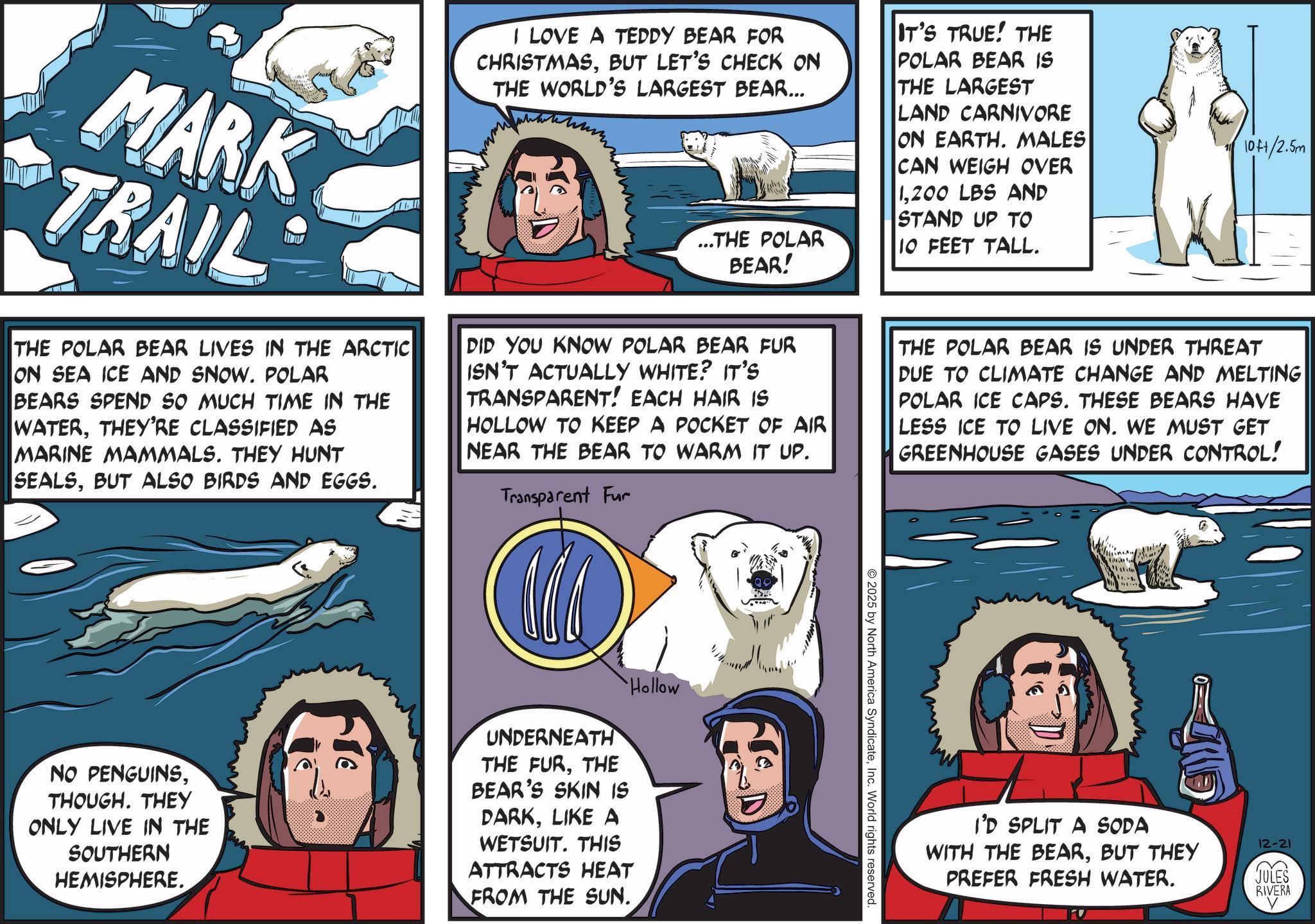 Arctic OCR: MARK TRAIL THE POLAR BEAR LIVES IN THE ARCTIC ON SEA ICE AND SNOW. POLAR BEARS SPEND SO MUCH TIME IN THE WATERTHEY'RE CLASSIFIED AS MARINE MAMMALS. THEY HUNT SEALSBUT ALSO BIRDS AND EGGS. I LOVE A TEDDY BEAR FOR CHRISTMASBUT LET'S CHECK ON THE WORLD'S LARGEST BEAR... IT'S TRUE! THE POLAR BEAR IS THE LARGEST LAND CARNIVORE ON EARTH. MALES CAN WEIGH OVER 1200 LBS AND STAND UP TO ...THE POLAR BEAR! 10 FEET TALL. DID YOU KNOW POLAR BEAR FUR ISN'T ACTUALLY WHITE? IT'S TRANSPARENT! EACH HAIR IS HOLLOW TO KEEP A POCKET OF AIR NEAR THE BEAR TO WARM IT UP. Transparent Fur 10+/2.5m THE POLAR BEAR IS UNDER THREAT DUE TO CLIMATE CHANGE AND MELTING POLAR ICE CAPS. THESE BEARS HAVE LESS ICE TO LIVE ON. WE MUST GET GREENHOUSE GASES UNDER CONTROL! Hollow NO PENGUINSTHOUGH. THEY ONLY LIVE IN THE SOUTHERN HEMISPHERE. UNDERNEATH THE FURTHE BEAR'S SKIN IS DARKLIKE A WETSUIT. THIS ATTRACTS HEAT FROM THE SUN. © 2025 by North America SyndicateInc. World rights reserved. I'D SPLIT A SODA WITH THE BEARBUT THEY PREFER FRESH WATER. 12-21 JULES RIVERA MARK TRAIL THE POLAR BEAR LIVES IN THE ARCTIC ON SEA ICE AND SNOW . POLAR BEARS SPEND SO MUCH TIME IN THE WATERTHEY'RE CLASSIFIED AS MARINE MAMMALS . THEY HUNT SEALSBUT ALSO BIRDS AND EGGS . I LOVE A TEDDY BEAR FOR CHRISTMASBUT LET'S CHECK ON THE WORLD'S LARGEST BEAR ... IT'S TRUE ! THE POLAR BEAR IS THE LARGEST LAND CARNIVORE ON EARTH . MALES CAN WEIGH OVER 1200 LBS AND STAND UP TO ... THE POLAR BEAR ! 10 FEET TALL . DID YOU KNOW POLAR BEAR FUR ISN'T ACTUALLY WHITE ? IT'S TRANSPARENT ! EACH HAIR IS HOLLOW TO KEEP A POCKET OF AIR NEAR THE BEAR TO WARM IT UP . Transparent Fur 10 + / 2.5m THE POLAR BEAR IS UNDER THREAT DUE TO CLIMATE CHANGE AND MELTING POLAR ICE CAPS . THESE BEARS HAVE LESS ICE TO LIVE ON . WE MUST GET GREENHOUSE GASES UNDER CONTROL ! Hollow NO PENGUINSTHOUGH . THEY ONLY LIVE IN THE SOUTHERN HEMISPHERE . UNDERNEATH THE FURTHE BEAR'S SKIN IS DARKLIKE A WETSUIT . THIS ATTRACTS HEAT FROM THE SUN . © 2025 by North America SyndicateInc. World rights reserved . I'D SPLIT A SODA WITH THE BEARBUT THEY PREFER FRESH WATER . 12-21 JULES RIVERA