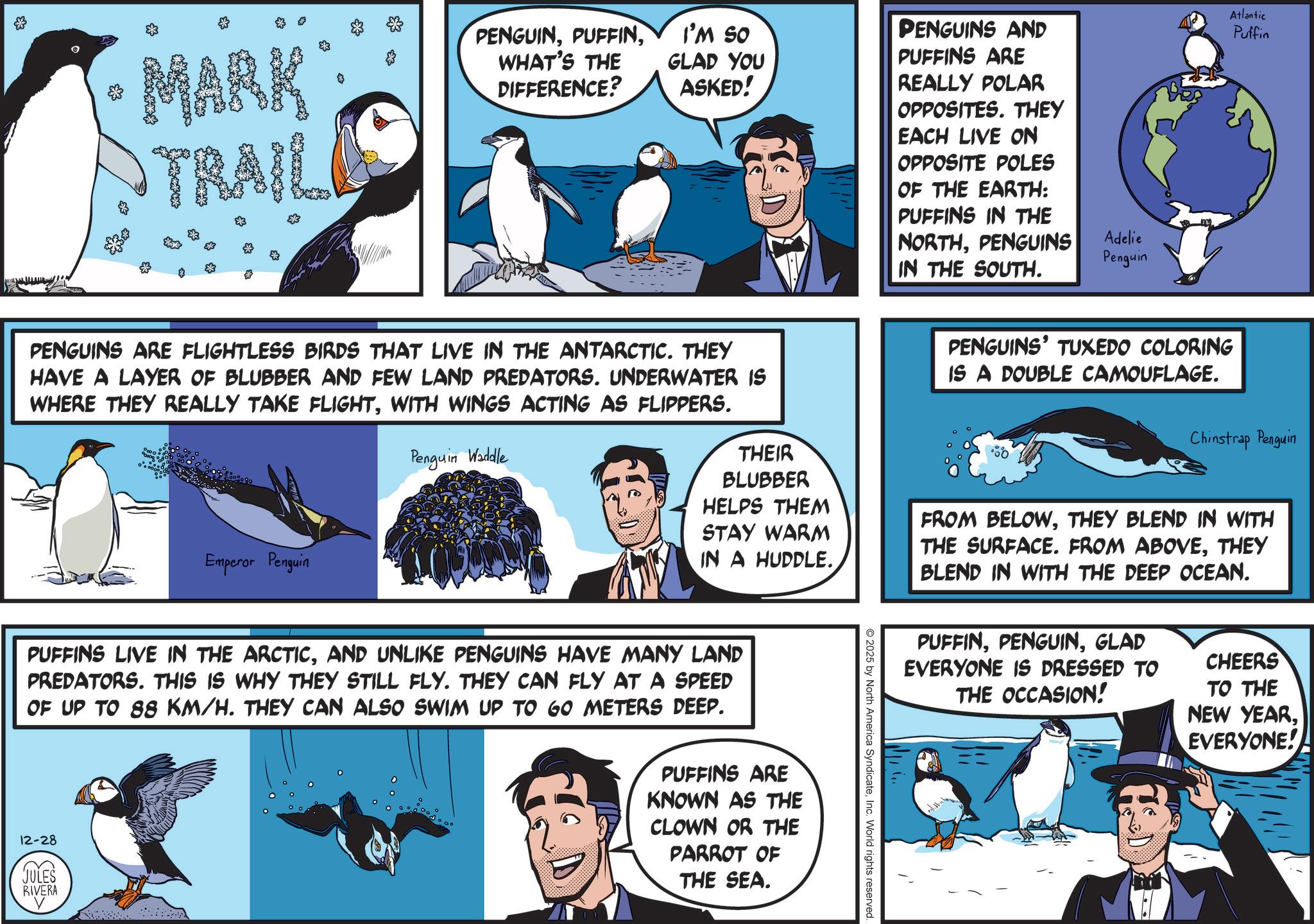 Beak OCR: MARK TRAIL PENGUINWHAT'S THE DIFFERENCE? I'M SO GLAD YOU ASKED! PENGUINS AND PUFFINS ARE REALLY POLAR OPPOSITES. THEY EACH LIVE ON OPPOSITE POLES OF THE EARTH: PUFFINS IN THE NORTHPENGUINS IN THE SOUTH. Adelie Penguin Atlantic Puffin PENGUINS ARE FLIGHTLESS BIRDS THAT LIVE IN THE ANTARCTIC. THEY HAVE A LAYER OF BLUBBER AND FEW LAND PREDATORS. UNDERWATER IS WHERE THEY REALLY TAKE FLIGHTWITH WINGS ACTING AS FLIPPERS. Emperor Penguin Penguin Waddle THEIR BLUBBER HELPS THEM STAY WARM IN A HUDDLE. PENGUINS' TUXEDO COLORING IS A DOUBLE CAMOUFLAGE. Chinstrap Penguin FROM BELOWTHEY BLEND IN WITH THE SURFACE. FROM ABOVETHEY BLEND IN WITH THE DEEP OCEAN. PUFFINS LIVE IN THE ARCTICAND UNLIKE PENGUINS HAVE MANY LAND PREDATORS. THIS IS WHY THEY STILL FLY. THEY CAN FLY AT A SPEED OF UP TO 88 KM/H. THEY CAN ALSO SWIM UP TO GO METERS DEEP. 12-28 JULES RIVERA V PUFFINS ARE KNOWN AS THE CLOWN OR THE PARROT OF THE SEA. PUFFINGLAD EVERYONE IS DRESSED TO THE OCCASION! CHEERS TO THE NEW YEAREVERYONE! © 2025 by North America SyndicateInc. World rights reserved MARK TRAIL PENGUINWHAT'S THE DIFFERENCE ? I'M SO GLAD YOU ASKED ! PENGUINS AND PUFFINS ARE REALLY POLAR OPPOSITES . THEY EACH LIVE ON OPPOSITE POLES OF THE EARTH : PUFFINS IN THE NORTHPENGUINS IN THE SOUTH . Adelie Penguin Atlantic Puffin PENGUINS ARE FLIGHTLESS BIRDS THAT LIVE IN THE ANTARCTIC . THEY HAVE A LAYER OF BLUBBER AND FEW LAND PREDATORS . UNDERWATER IS WHERE THEY REALLY TAKE FLIGHTWITH WINGS ACTING AS FLIPPERS . Emperor Penguin Penguin Waddle THEIR BLUBBER HELPS THEM STAY WARM IN A HUDDLE . PENGUINS ' TUXEDO COLORING IS A DOUBLE CAMOUFLAGE . Chinstrap Penguin FROM BELOWTHEY BLEND IN WITH THE SURFACE . FROM ABOVETHEY BLEND IN WITH THE DEEP OCEAN . PUFFINS LIVE IN THE ARCTICAND UNLIKE PENGUINS HAVE MANY LAND PREDATORS . THIS IS WHY THEY STILL FLY . THEY CAN FLY AT A SPEED OF UP TO 88 KM / H . THEY CAN ALSO SWIM UP TO GO METERS DEEP . 12-28 JULES RIVERA V PUFFINS ARE KNOWN AS THE CLOWN OR THE PARROT OF THE SEA . PUFFINGLAD EVERYONE IS DRESSED TO THE OCCASION ! CHEERS TO THE NEW YEAREVERYONE ! © 2025 by North America SyndicateInc. World rights reserved