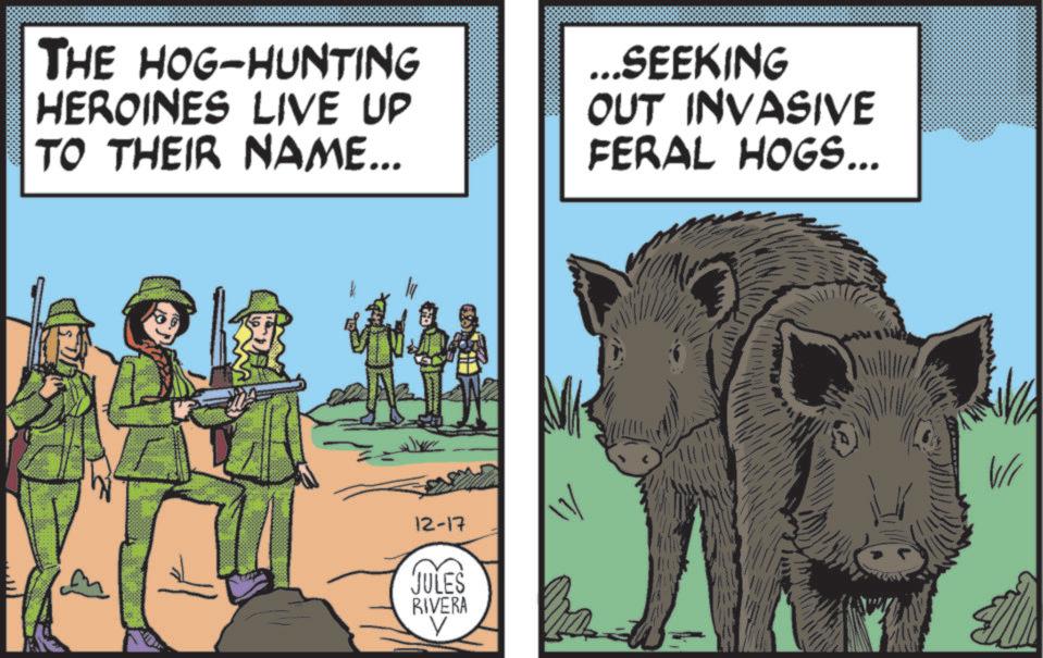 Working animal OCR: THE HOG-HUNTING HEROINES LIVE UP TO THEIR NAME... ...SEEKING OUT INVASIVE FERAL HOGS... 12-17 JULES RIVERA V ? THE HOG - HUNTING HEROINES LIVE UP TO THEIR NAME ... ... SEEKING OUT INVASIVE FERAL HOGS ... 12-17 JULES RIVERA V ?