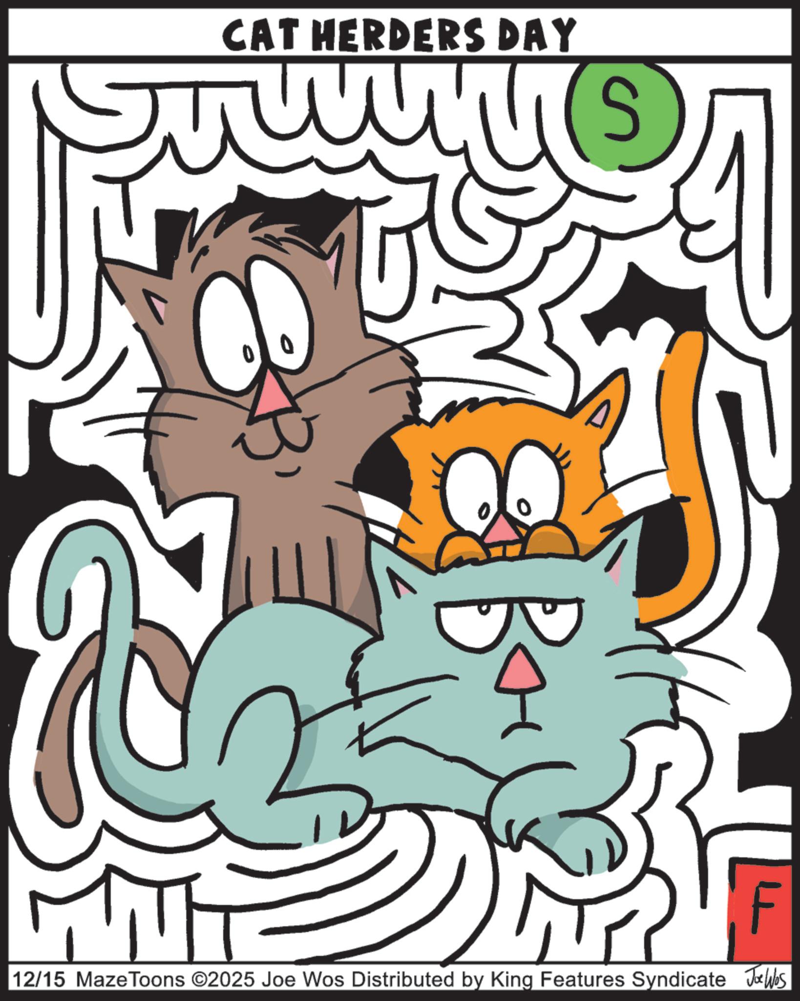 Animation OCR: CAT HERDERS DAY Bo F 12/15 MazeToons ©2025 Joe Wos Distributed by King Features Syndicate Joe Was CAT HERDERS DAY Bo F 12/15 MazeToons © 2025 Joe Wos Distributed by King Features Syndicate Joe Was