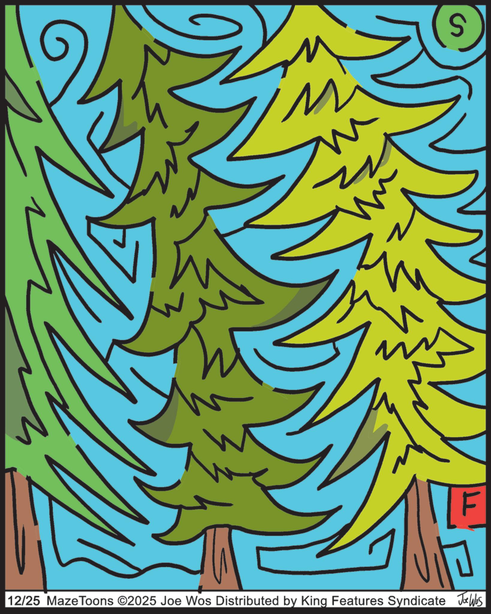 Spruce-fir forests OCR: S 12/25 Maze Toons ©2025 Joe Wos Distributed by King Features Syndicate Jobs S 12/25 Maze Toons © 2025 Joe Wos Distributed by King Features Syndicate Jobs