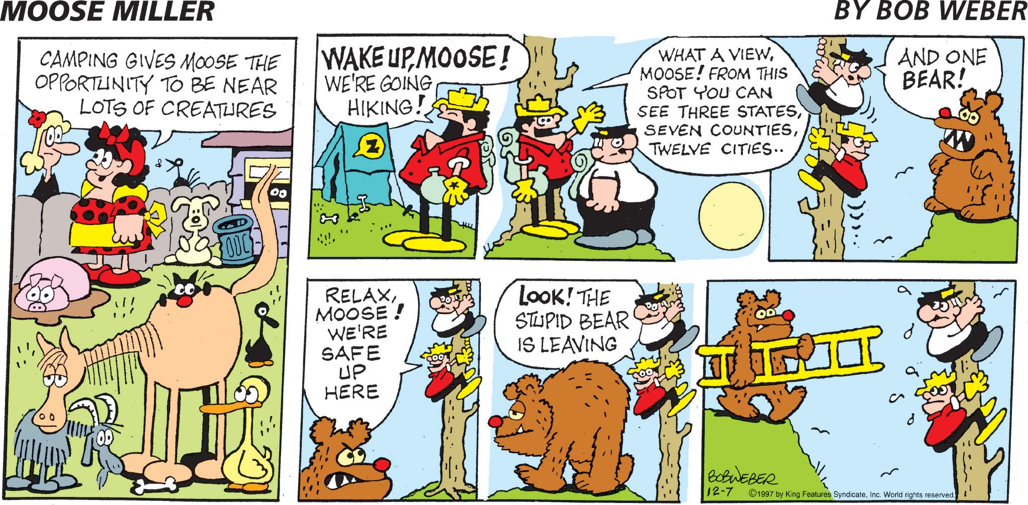 Pleased OCR: MOOSE MILLER CAMPING GIVES MOOSE THE OPPORTUNITY TO BE NEAR LOTS OF CREATURES WAKE UPMOOSE! WE'RE GOING HIKING! WHAT A VIEWMOOSE! FROM THIS SPOT YOU CAN SEE THREE STATESTWELVE CITIES.. OOC RELAXMOOSE! LOOK! THE STUPID BEAR WE'RE SAFE IS LEAVING UP HERE BOBWEBER 12-7 BY BOB WEBER AND ONE BEAR! 1997 by King Features SyndicateInc. World rights reserved. MOOSE MILLER CAMPING GIVES MOOSE THE OPPORTUNITY TO BE NEAR LOTS OF CREATURES WAKE UPMOOSE ! WE'RE GOING HIKING ! WHAT A VIEWMOOSE ! FROM THIS SPOT YOU CAN SEE THREE STATESSEVEN COUNTIESTWELVE CITIES .. OOC RELAXMOOSE ! LOOK ! THE STUPID BEAR WE'RE SAFE IS LEAVING UP HERE BOBWEBER 12-7 BY BOB WEBER AND ONE BEAR ! 1997 by King Features SyndicateInc. World rights reserved .