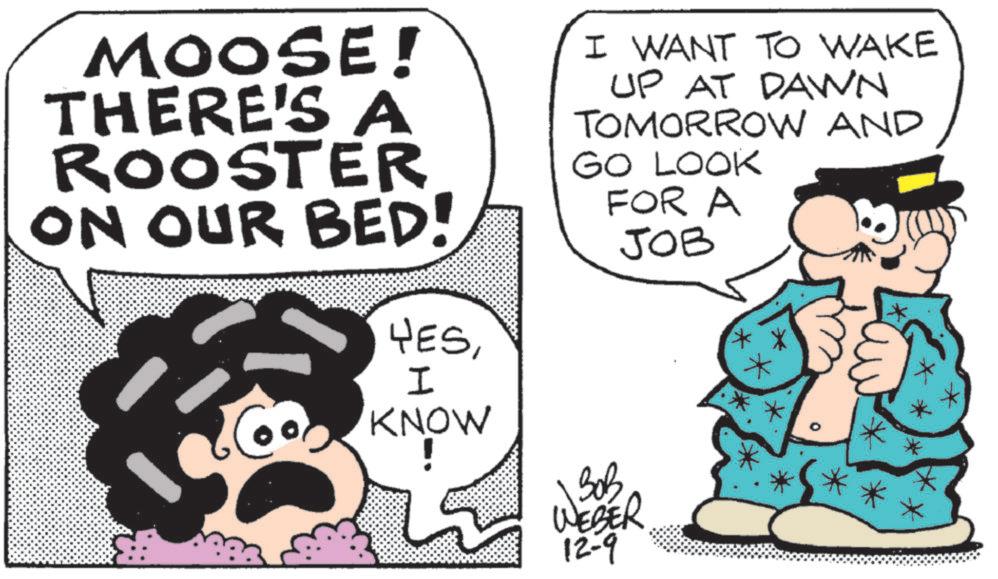 Animated cartoon OCR: MOOSE! THERE'S A ROOSTER ON OUR BED! YESI KNOW I WANT TO WAKE UP AT DAWN TOMORROW AND GO LOOK FOR A JOB ??? WEBER 12-9 * MOOSE ! THERE'S A ROOSTER ON OUR BED ! YESI KNOW I WANT TO WAKE UP AT DAWN TOMORROW AND GO LOOK FOR A JOB ??? WEBER 12-9 *