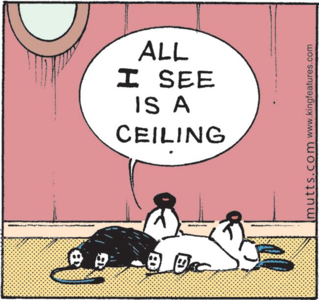 Comics OCR: www ALL I SEE IS A CEILING mutts.com www.kingfeatures.com www ALL I SEE IS A CEILING mutts.com www.kingfeatures.com