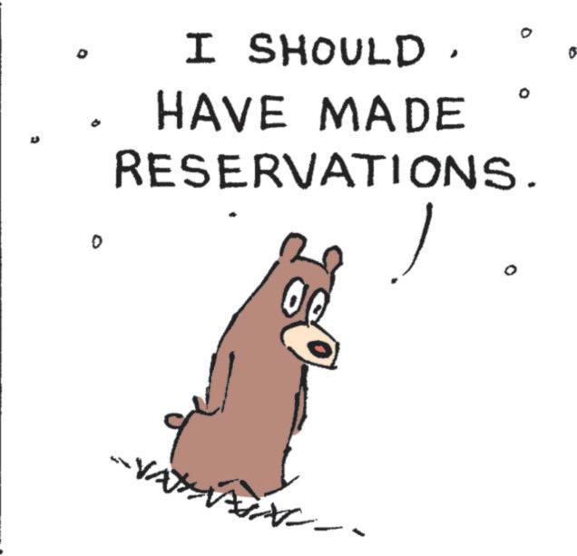 Brown bear OCR: I SHOULD. HAVE MADE RESERVATIONS. 0 ? I SHOULD . HAVE MADE RESERVATIONS . 0 ?
