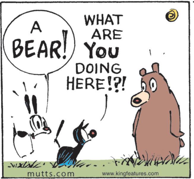 Photo caption OCR: A WHAT ARE BEAR! YOU You DOING HERE!?! gs mutts.com www.kingfeatures.com A WHAT ARE BEAR ! YOU You DOING HERE ! ? ! gs mutts.com www.kingfeatures.com
