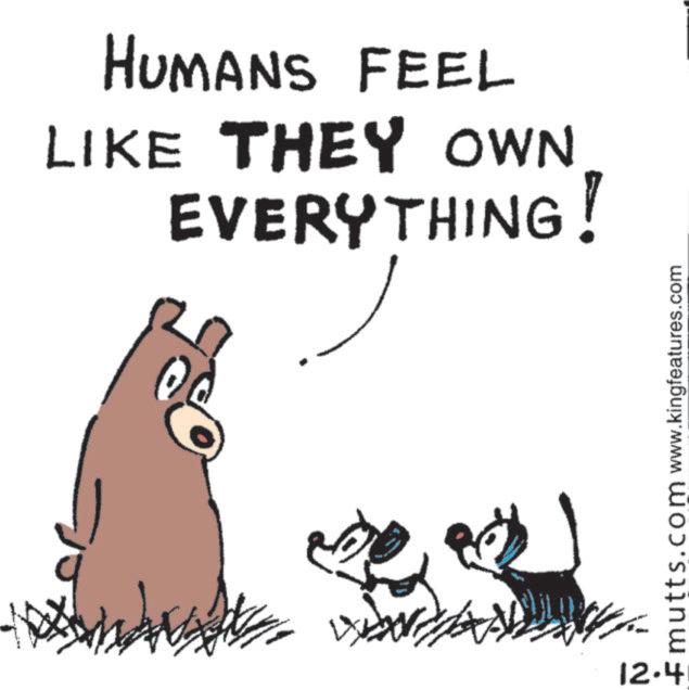 Photo caption OCR: HUMANS FEEL LIKE THEY OWN EVERYTHING! 12.4 mutts.com www.kingfeatures.com HUMANS FEEL LIKE THEY OWN EVERYTHING ! 12.4 mutts.com www.kingfeatures.com