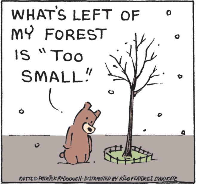 OCR: WHAT'S LEFT OF MY FOREST ?? IS "Too SMALL! MUTTS © PATRICK M'DONNELL DISTRIBUTED BY KING FEATURES SYNDICATE WHAT'S LEFT OF MY FOREST ? ? IS " Too SMALL ! MUTTS © PATRICK M'DONNELL DISTRIBUTED BY KING FEATURES SYNDICATE