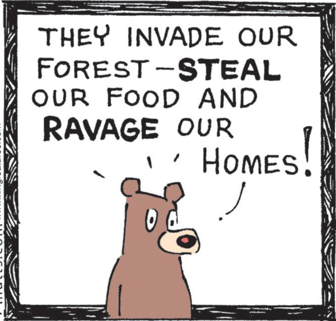 Brown bear OCR: THEY INVADE OUR FOREST-STEAL OUR FOOD AND RAVAGE OUR HOMES! THEY INVADE OUR FOREST - STEAL OUR FOOD AND RAVAGE OUR HOMES !