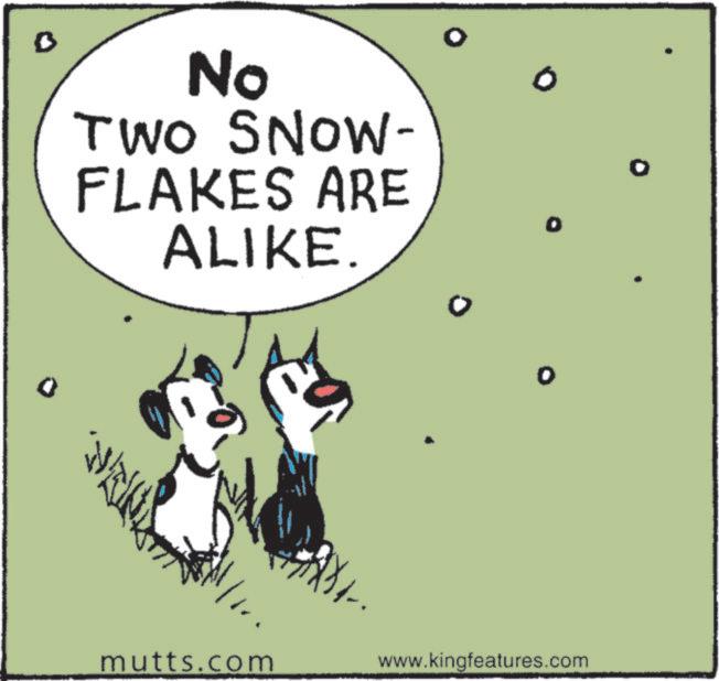 Canidae OCR: No TWO SNOW- FLAKES ARE ALIKE. mutts.com www.kingfeatures.com No TWO SNOW- FLAKES ARE ALIKE . mutts.com www.kingfeatures.com