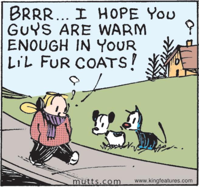 Animated cartoon OCR: BRRR... I HOPE YOU GUYS ARE WARM ENOUGH IN YOUR LiL FUR COATS! mutts.com www.kingfeatures.com BRRR ... I HOPE YOU GUYS ARE WARM ENOUGH IN YOUR LiL FUR COATS ! mutts.com www.kingfeatures.com