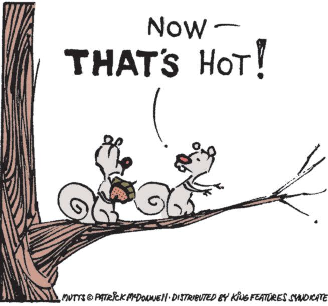 Clip art OCR: Now - THAT'S HOT! „MUTTS © PATRICK MCDONNELL DISTRIBUTED BY KING FEATURES SYNDICATE Now - THAT'S HOT ! „ MUTTS © PATRICK MCDONNELL DISTRIBUTED BY KING FEATURES SYNDICATE