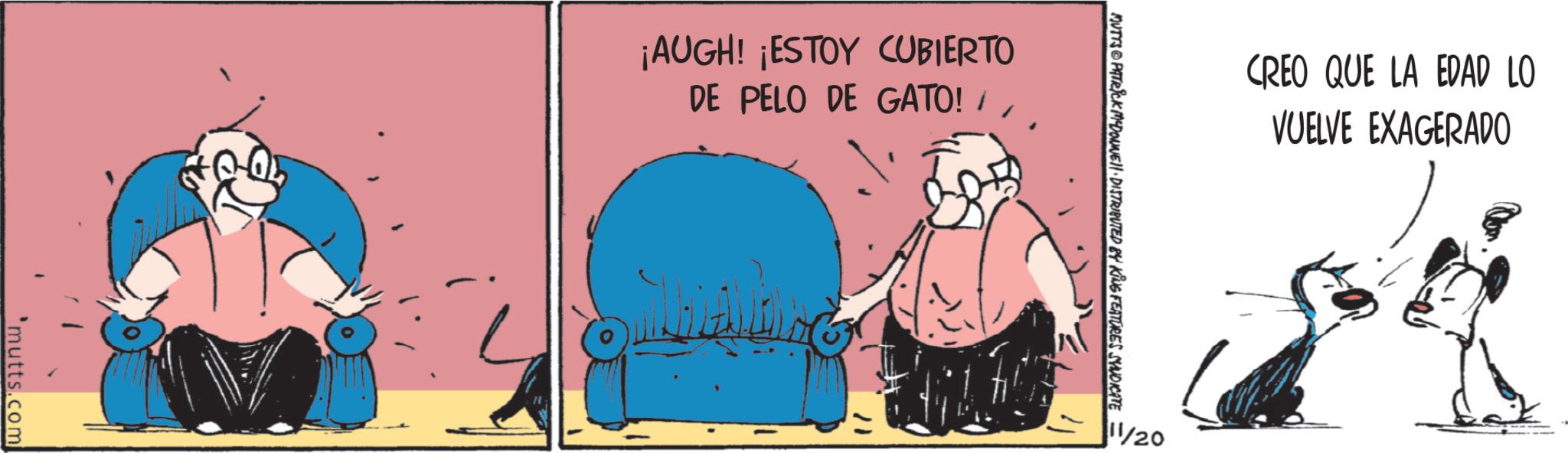 Publication OCR: 'mutts.com ¡AUGH! ¡ESTOY CUBIERTO DE PELO DE GATO! / CREO QUE LA EDAD LO MUTTS PATRICK MADONNE DISTRIBUTED BY KING FEATURES SYNDICATE VUELVE EXAGERADO 11/20 ' mutts.com ¡ AUGH ! ¡ ESTOY CUBIERTO DE PELO DE GATO ! / CREO QUE LA EDAD LO MUTTS PATRICK MADONNE DISTRIBUTED BY KING FEATURES SYNDICATE VUELVE EXAGERADO 11/20