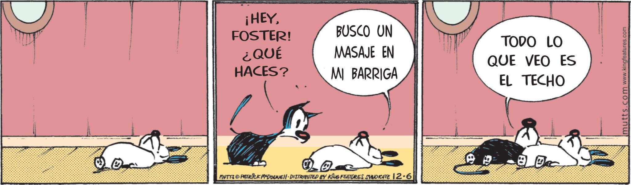 Fictional character OCR: ¡HEYFOSTER! BUSCO UN ¿QUÉ HACES? MASAJE EN MI BARRIGA MUTTS PATRICK MADONNE DISTRIBUTED BY KING FEATURES SYNDICATE 12.6 TODO LO QUE VEO ES EL TECHO mutts.com www.kingfeatures.com ¡ HEYFOSTER ! BUSCO UN ¿ QUÉ HACES ? MASAJE EN MI BARRIGA MUTTS PATRICK MADONNE DISTRIBUTED BY KING FEATURES SYNDICATE 12.6 TODO LO QUE VEO ES EL TECHO mutts.com www.kingfeatures.com