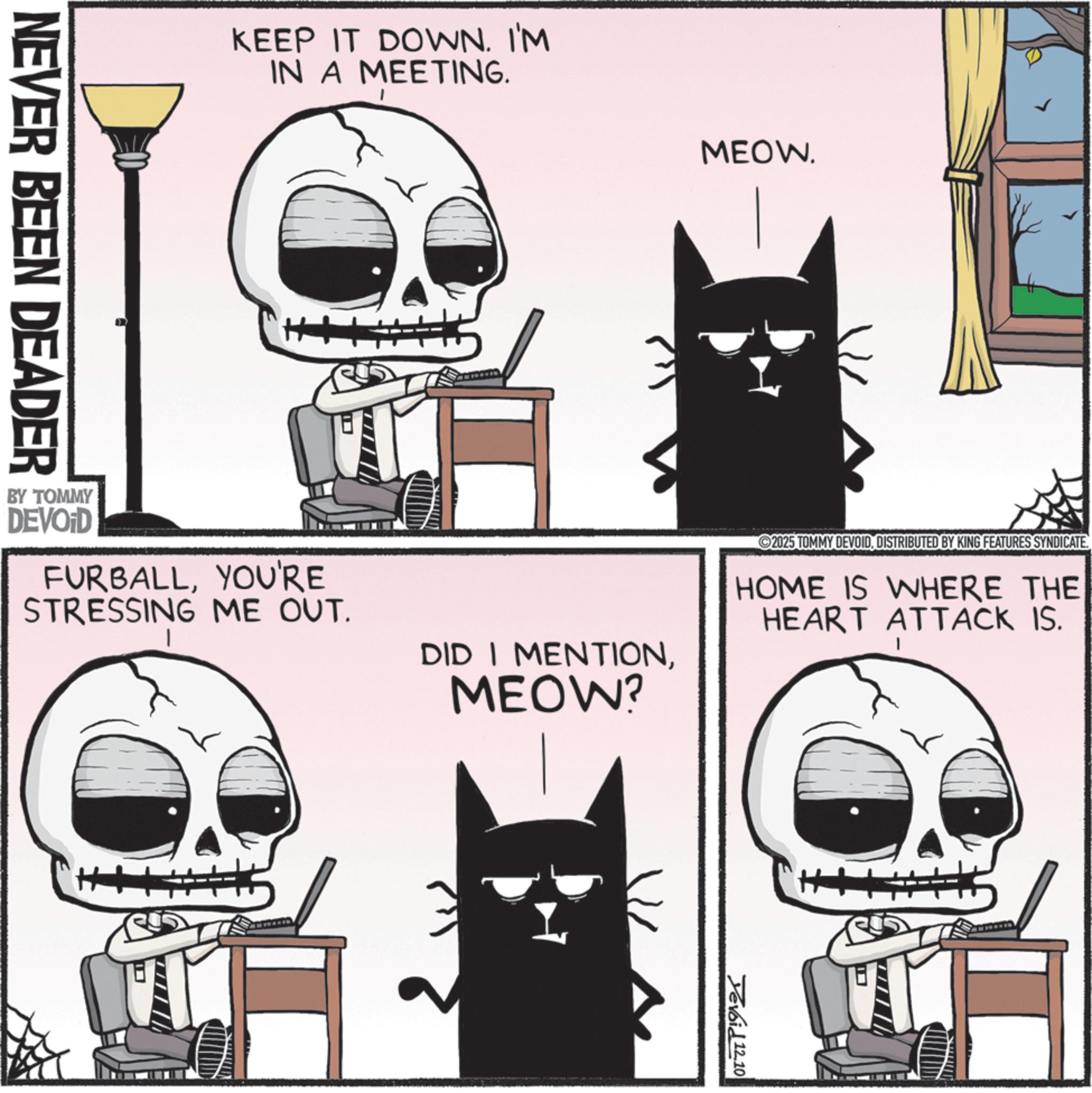 Whiskers OCR: KEEP IT DOWN. I'M IN A MEETING. NEVER BEEN DEADER MEOW. BY TOMMY DEVOID FURBALLYOU'RE STRESSING ME OUT. DID I MENTIONMEOW? 2025 TOMMY DEVOIDDISTRIBUTED BY KING FEATURES SYNDICATE. HOME IS WHERE THE HEART ATTACK IS. Yevoid 12.10 KEEP IT DOWN . I'M IN A MEETING . NEVER BEEN DEADER MEOW . BY TOMMY DEVOID FURBALLYOU'RE STRESSING ME OUT . DID I MENTIONMEOW ? 2025 TOMMY DEVOIDDISTRIBUTED BY KING FEATURES SYNDICATE . HOME IS WHERE THE HEART ATTACK IS . Yevoid 12.10