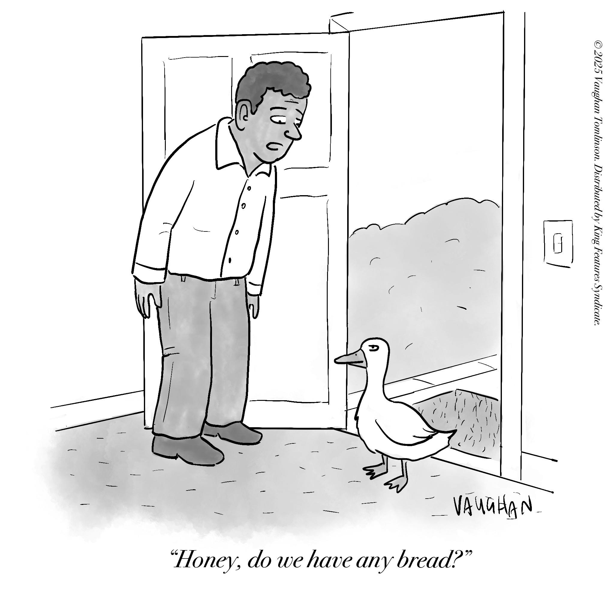 Bird OCR: ©2025 Vaughan Tomlinson. Distributed by King Features Syndicate. 0 0 0 VAUGHAN "Honeydo we have any bread?" © 2025 Vaughan Tomlinson . Distributed by King Features Syndicate . 0 0 0 VAUGHAN " Honeydo we have any bread ? "