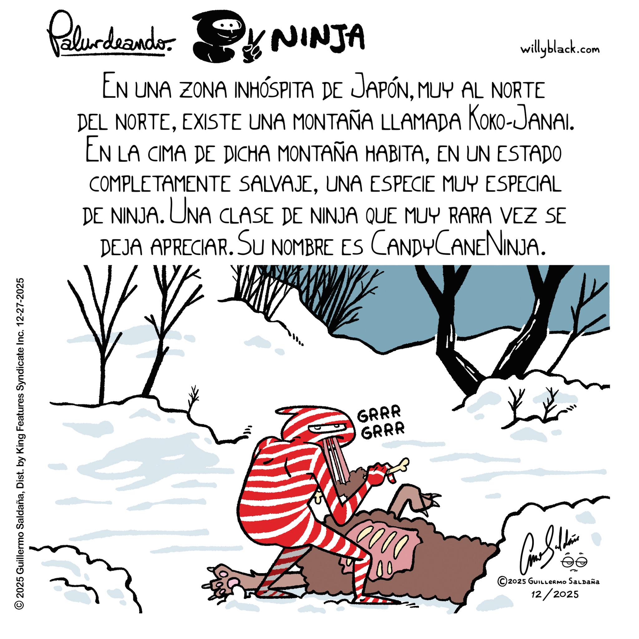 Line art OCR: © 2025 Guillermo SaldañaDist. by King Features Syndicate Inc. 12-27-2025 Palurdeando * NINJA willyblack.com EN UNA ZONA INHÓSPITA DE JAPÓNMUY AL NORTE DEL NORTEEXISTE UNA MONTAÑA LLAMADA KOKO-JANAI. EN LA CIMA DE DICHA MONTAÑA HABITAEN UN ESTADO COMPLETAMENTE SALVAJEUNA ESPECIE MUY ESPECIAL DE NINJA. UNA CLASE DE NINJA QUE MUY RARA VEZ SE DEJA APRECIAR. SU NOMBRE ES CANDY CANENINJA. GRRR GRRR Can Soldie 2025 GUILLERMO SALDAÑA 12/2025 © 2025 Guillermo SaldañaDist . by King Features Syndicate Inc. 12-27-2025 Palurdeando * NINJA willyblack.com EN UNA ZONA INHÓSPITA DE JAPÓNMUY AL NORTE DEL NORTEEXISTE UNA MONTAÑA LLAMADA KOKO - JANAI . EN LA CIMA DE DICHA MONTAÑA HABITAEN UN ESTADO COMPLETAMENTE SALVAJEUNA ESPECIE MUY ESPECIAL DE NINJA . UNA CLASE DE NINJA QUE MUY RARA VEZ SE DEJA APRECIAR . SU NOMBRE ES CANDY CANENINJA . GRRR GRRR Can Soldie 2025 GUILLERMO SALDAÑA 12/2025