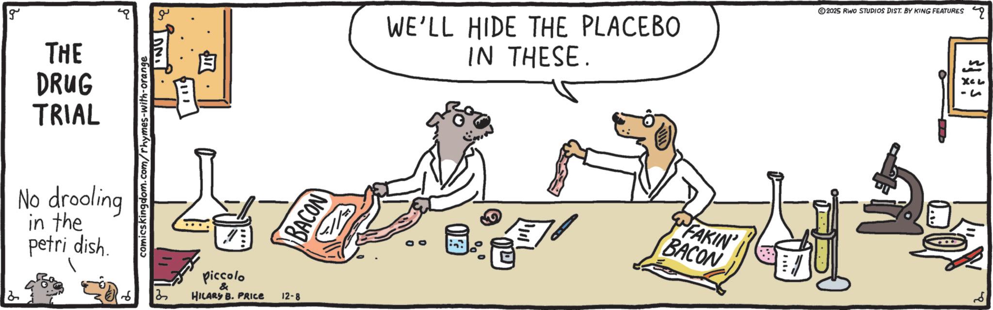 Handwriting OCR: 2 g THE DRUG TRIAL No drooling in the petri dish. comicskingdom.com/rhymes-with-orange 13 ON 111 (119 piccolo & HILARY B. PRICE 12-8 BACON WE'LL HIDE THE PLACEBO IN THESE. 2025 RWO STUDIOS DIST. BY KING FEATURES q n J "FAKIN' BACON 2 g THE DRUG TRIAL No drooling in the petri dish . comicskingdom.com/rhymes-with-orange 13 ON 111 ( 119 piccolo & HILARY B. PRICE 12-8 BACON WE'LL HIDE THE PLACEBO IN THESE . 2025 RWO STUDIOS DIST . BY KING FEATURES q n J " FAKIN ' BACON