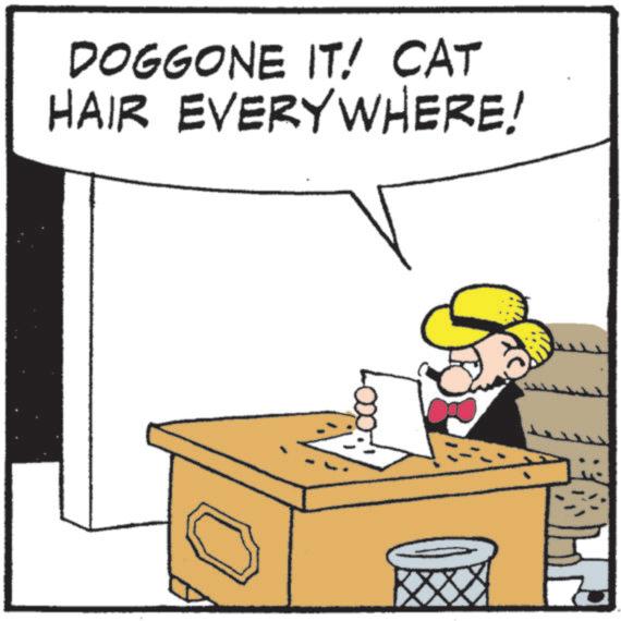 Photo caption OCR: DOGGONE IT! CAT HAIR EVERYWHERE! DOGGONE IT ! CAT HAIR EVERYWHERE !
