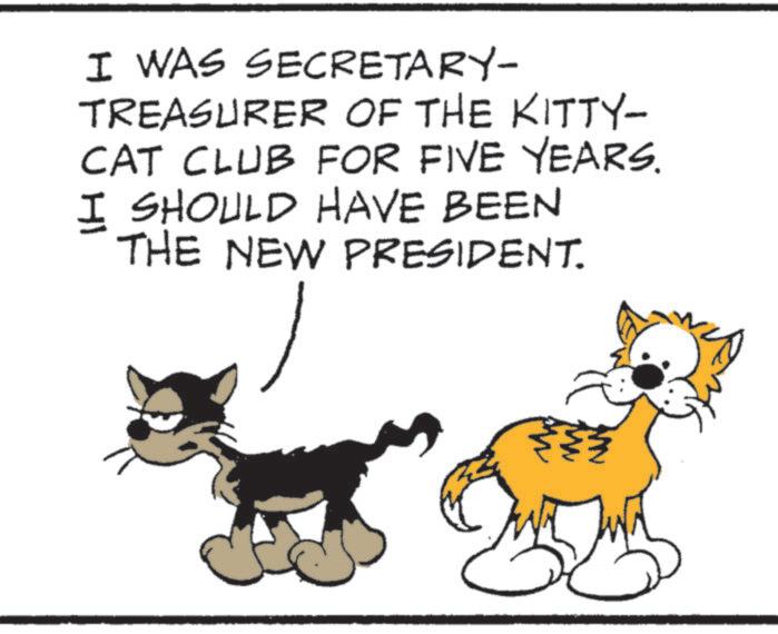Terrestrial animal OCR: I WAS SECRETARY- TREASURER OF THE KITTY- CAT CLUB FOR FIVE YEARS. I SHOULD HAVE BEEN THE NEW PRESIDENT. I WAS SECRETARY- TREASURER OF THE KITTY- CAT CLUB FOR FIVE YEARS . I SHOULD HAVE BEEN THE NEW PRESIDENT .