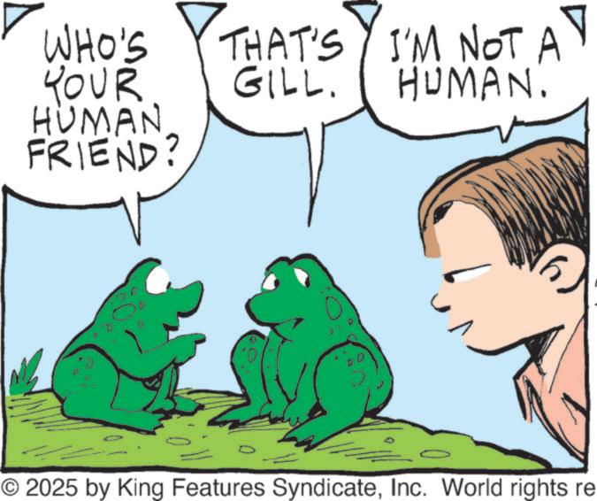Animation OCR: WHO'S YOUR HUMAN FRIEND? THAT'S Y I'M NOT A Y GILL. HUMAN. © 2025 by King Features SyndicateInc. World rights re WHO'S YOUR HUMAN FRIEND ? THAT'S Y I'M NOT A Y GILL . HUMAN . © 2025 by King Features SyndicateInc. World rights re