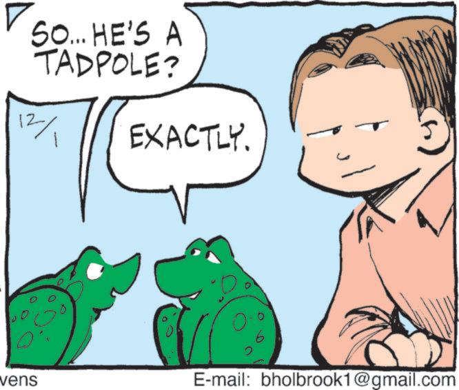 Line art OCR: SO... HE'S A TADPOLE? 12/1 EXACTLY. ? vens ? E-mail: bholbrook1@gmail.com SO ... HE'S A TADPOLE ? 12/1 EXACTLY . ? vens ? E - mail : bholbrook1@gmail.com