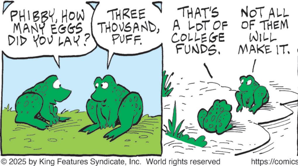 Toads OCR: ? PHIBBYHOW MANY EGGS DID YOU LAY? THREE THOUSANDPUFF. THAT'S A LOT OF COLLEGE FUNDS. 0 ? © 2025 by King Features SyndicateInc. World rights reserved NOT ALL OF THEM WILL MAKE IT. . https://comics ? PHIBBYHOW MANY EGGS DID YOU LAY ? THREE THOUSANDPUFF . THAT'S A LOT OF COLLEGE FUNDS . 0 ? © 2025 by King Features SyndicateInc. World rights reserved NOT ALL OF THEM WILL MAKE IT . . https : // comics