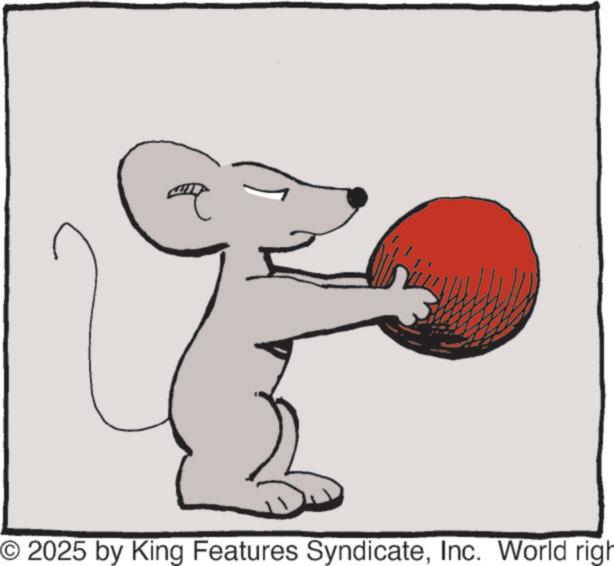 Animation OCR: O2025 by King Features SyndicateInc. World righ O2025 by King Features SyndicateInc. World righ