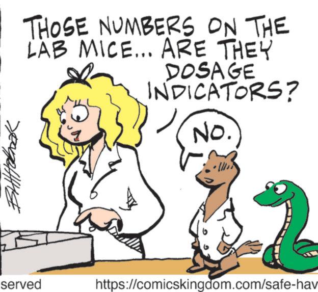 Line art OCR: THOSE NUMBERS ON THE LAB MICE... ARE THEY served DOSAGE INDICATORS? No. 2 https://comicskingdom.com/safe-hav THOSE NUMBERS ON THE LAB MICE ... ARE THEY served DOSAGE INDICATORS ? No. 2 https://comicskingdom.com/safe-hav