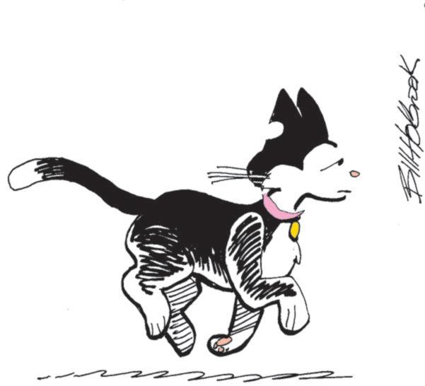 Tail OCR: Billobook Billobook