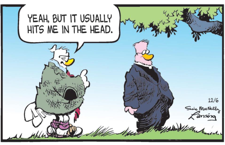 Animated cartoon OCR: YEAHBUT IT USUALLY HITS ME IN THE HEAD. 12/6 Susie MacNelly Lansing YEAHBUT IT USUALLY HITS ME IN THE HEAD . 12/6 Susie MacNelly Lansing