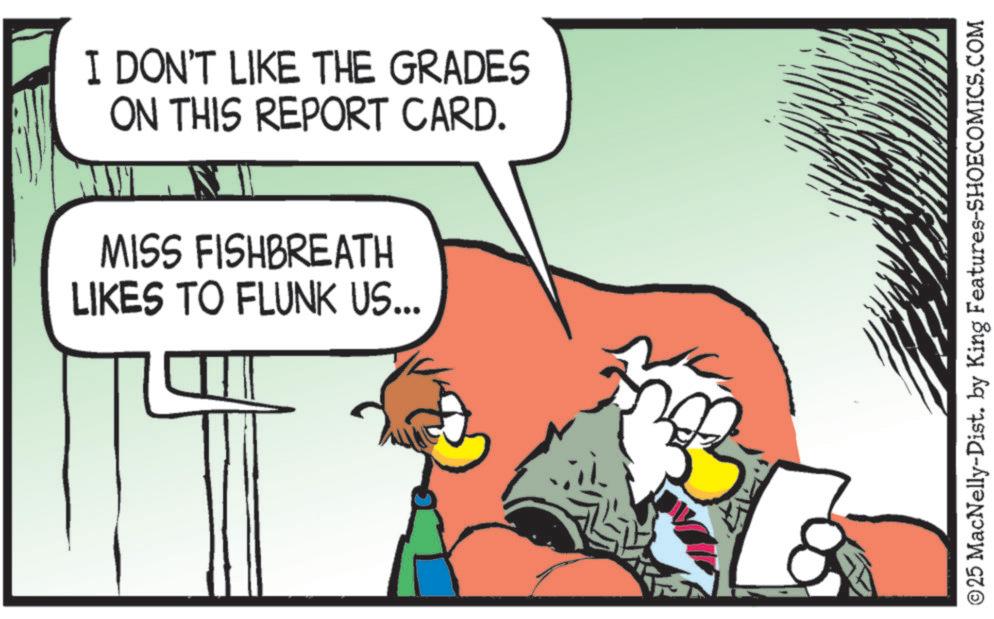 Comic book OCR: I DON'T LIKE THE GRADES ON THIS REPORT CARD. MISS FISHBREATH LIKES TO FLUNK US... ©25 MacNelly-Dist. by King Features-SHOECOMICS.COM I DON'T LIKE THE GRADES ON THIS REPORT CARD . MISS FISHBREATH LIKES TO FLUNK US ... © 25 MacNelly - Dist . by King Features-SHOECOMICS.COM