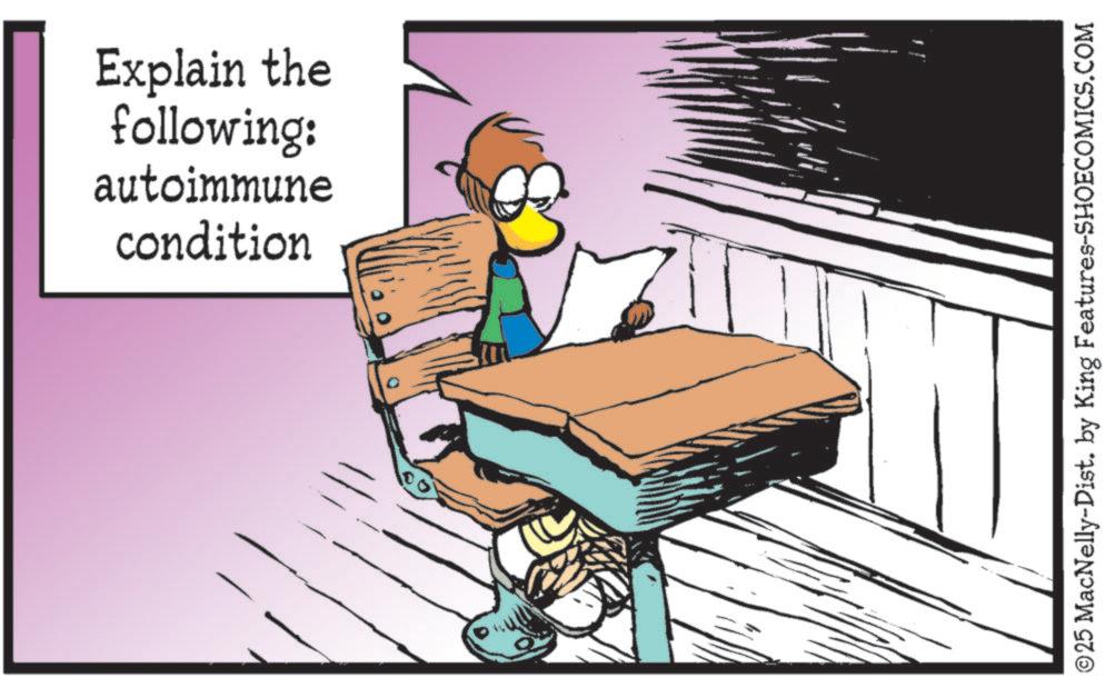 Desk OCR: Explain the following: autoimmune condition ©25 MacNelly-Dist. by King Features-SHOECOMICS.COM Explain the following : autoimmune condition © 25 MacNelly - Dist . by King Features-SHOECOMICS.COM